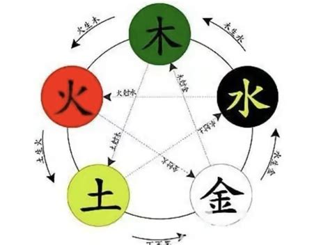 桃 五行|桃字的五行属性